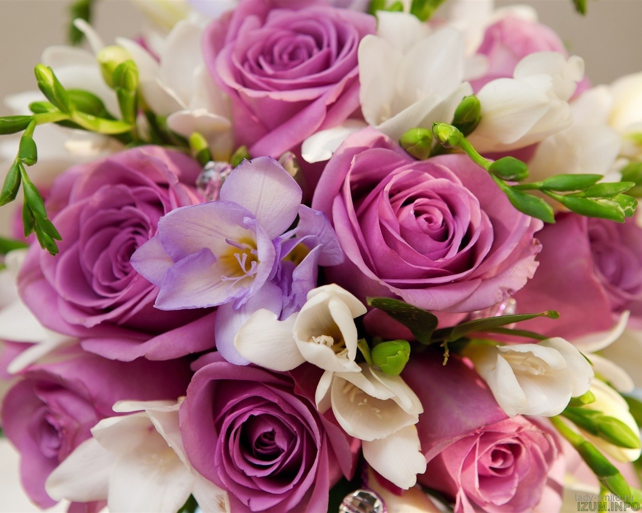 Violet-flowers-roses-bouquet_1280x1024.jpg