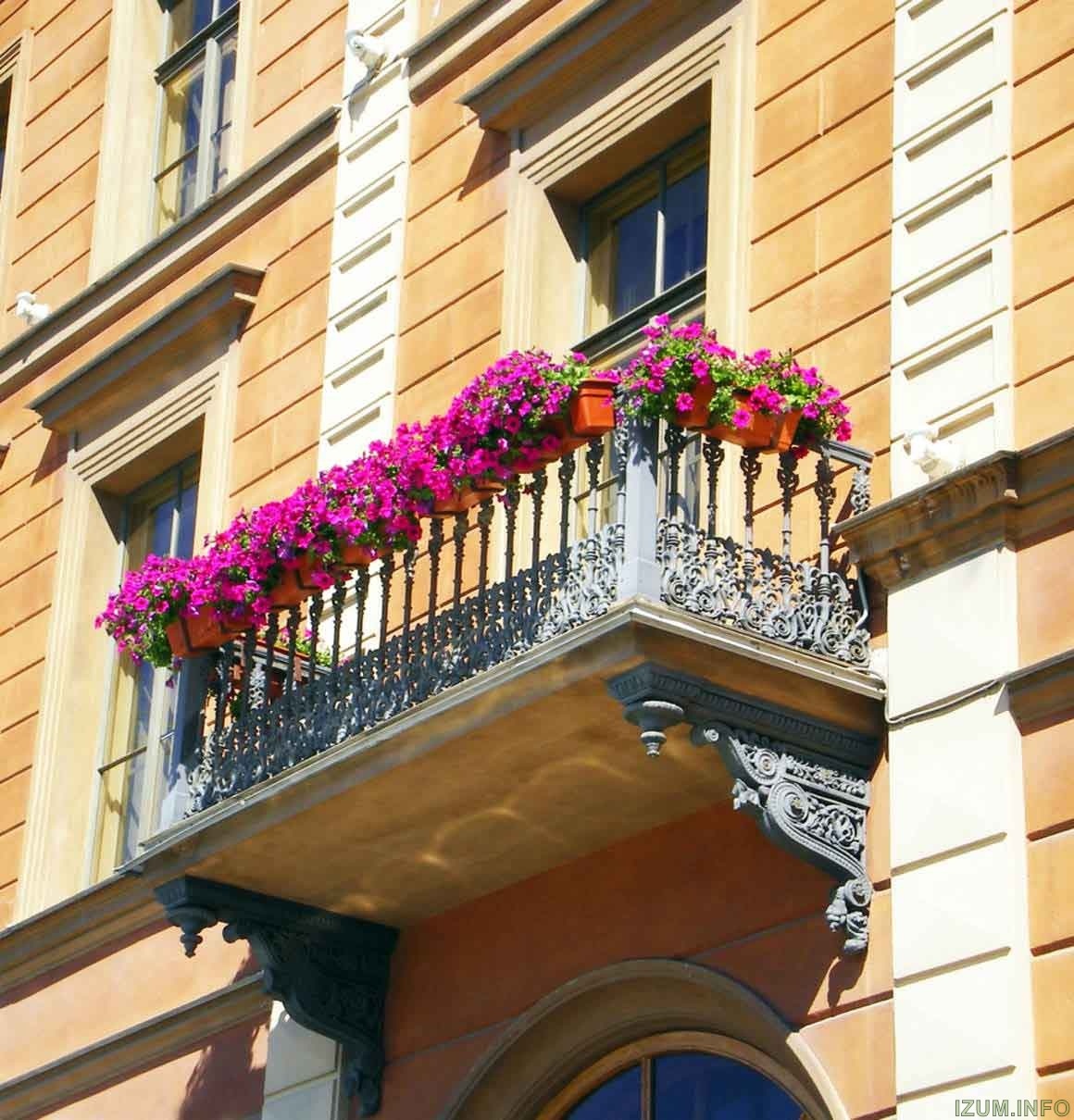 balcony-with-flowers1.jpg