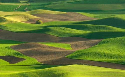 palouse-4.jpg