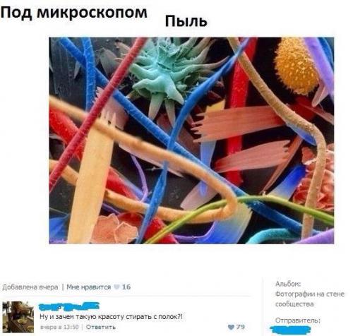 разное 1100.jpeg