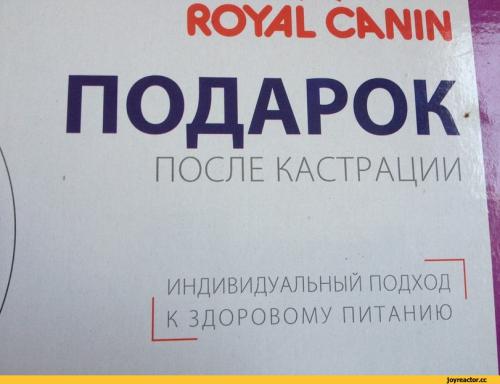 royal-canin.jpeg