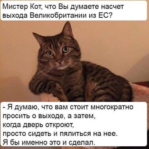 разное 1285.jpg