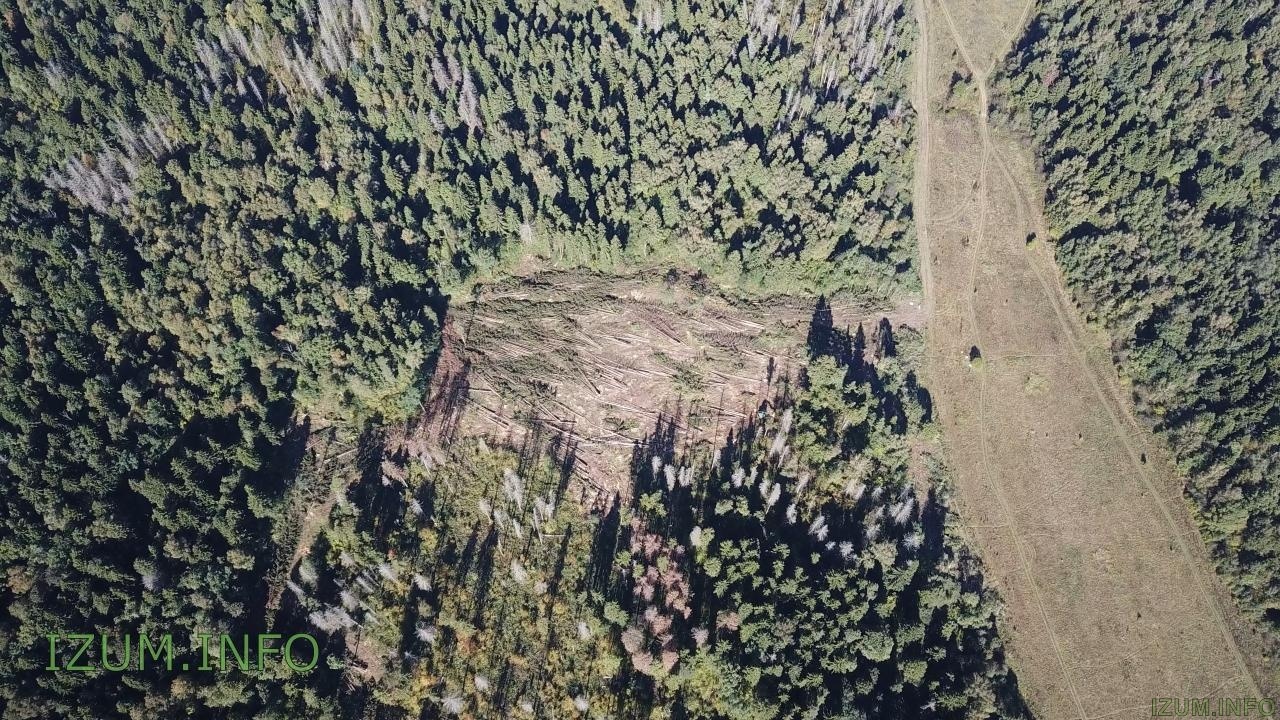 Изумрудные холмы полёт стройка Черневская горка (42).jpg