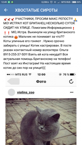 Screenshot_2016-10-18-12-49-31-070_com.vkontakte.android.png