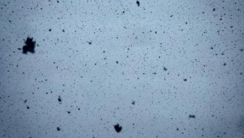 снег дмитров.jpg