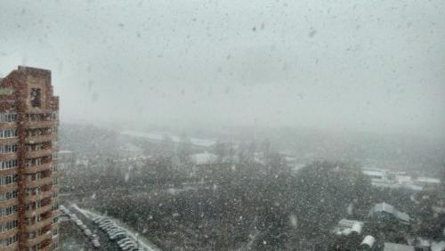 дмитровский снег.jpg