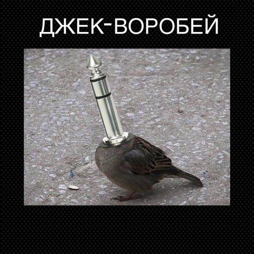 джек.jpg