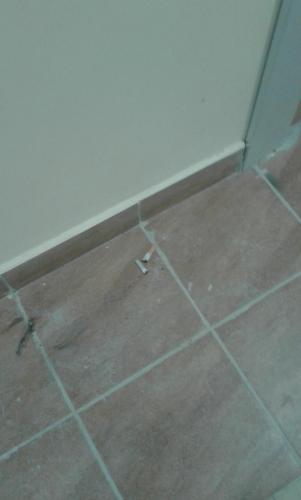 20131211_091714.jpg