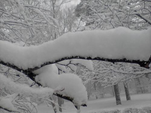 снежок 4 февраля.jpg